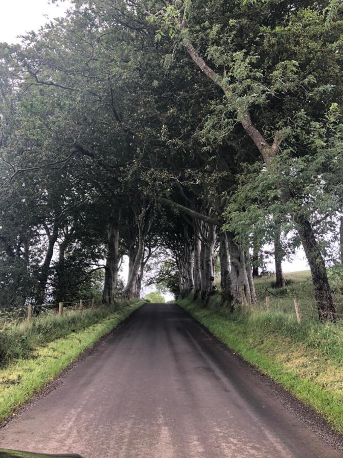 Den @ The Dark Hedges Apartamento Stranocum Exterior foto